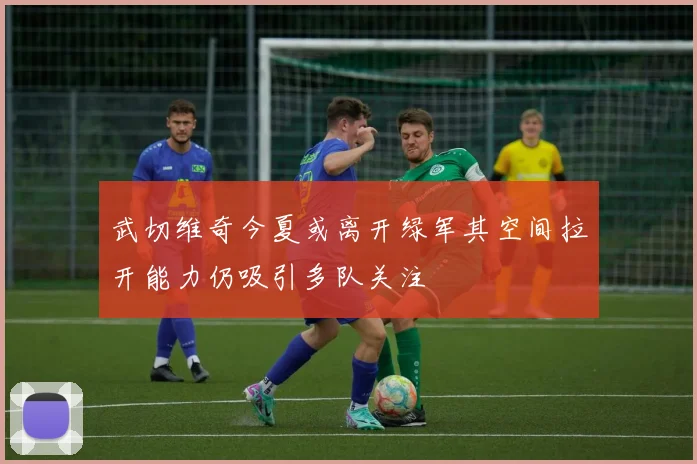 武切维奇今夏或离开绿军其空间拉开能力仍吸引多队关注
